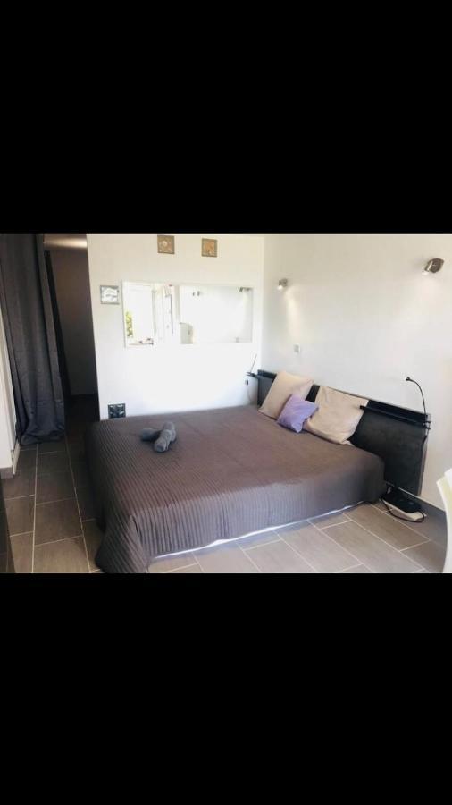Grand Studio Bord De Mer Plus Piscine 塞特港 外观 照片