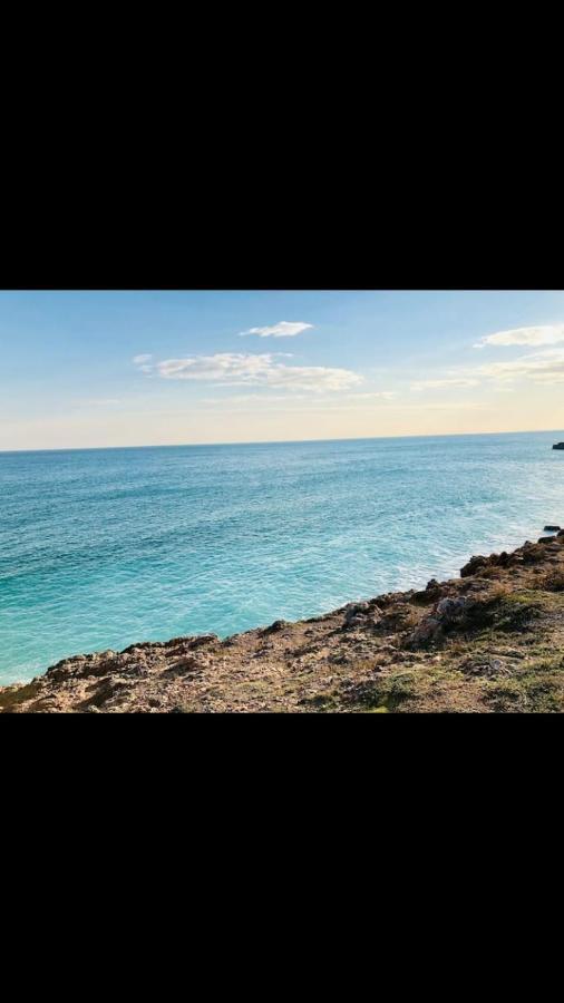 Grand Studio Bord De Mer Plus Piscine 塞特港 外观 照片